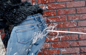 Adult Prime picture collection featuring delightful miss xxx gallery 188102